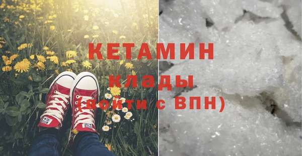 прущие грибы Балабаново