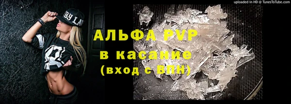 СК Аркадак