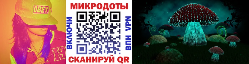 Купить где  Волчанск  Галлюциногенные грибы GOLDEN TEACHER 